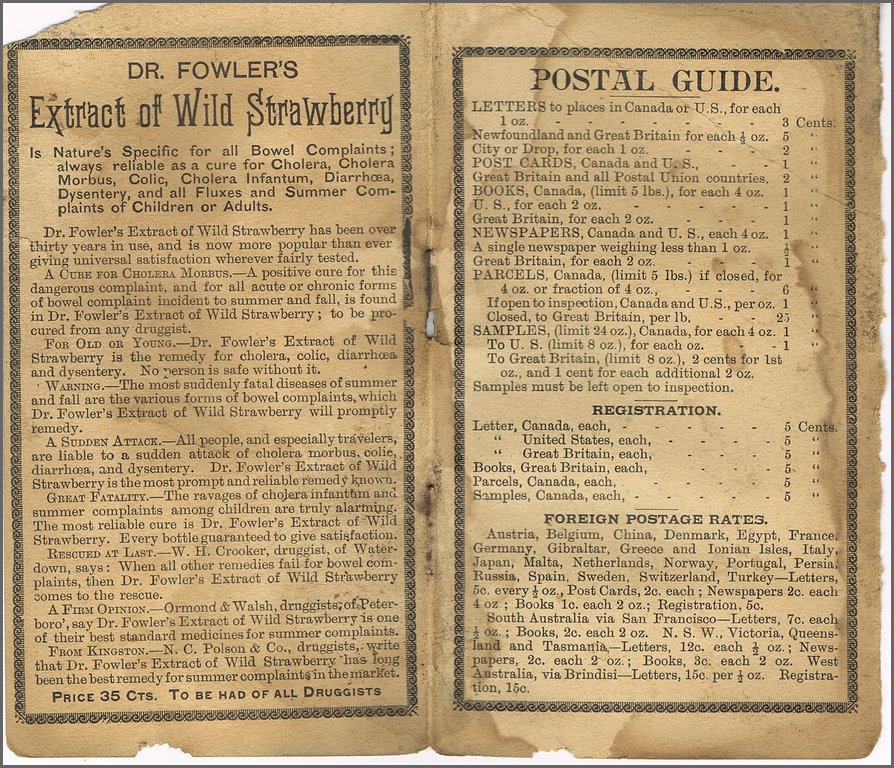 1894-1895 Pocket Memorandum Book 02.jpg