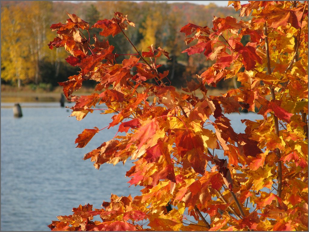 IMG_3779.JPG