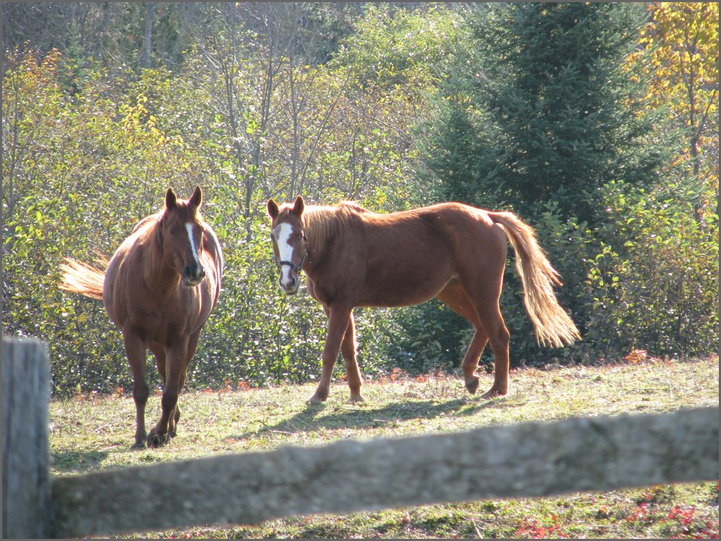 IMG_3899.JPG