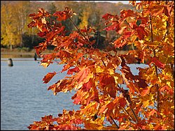 IMG_3779.JPG