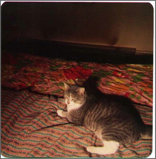 Smoky_1975.jpg
