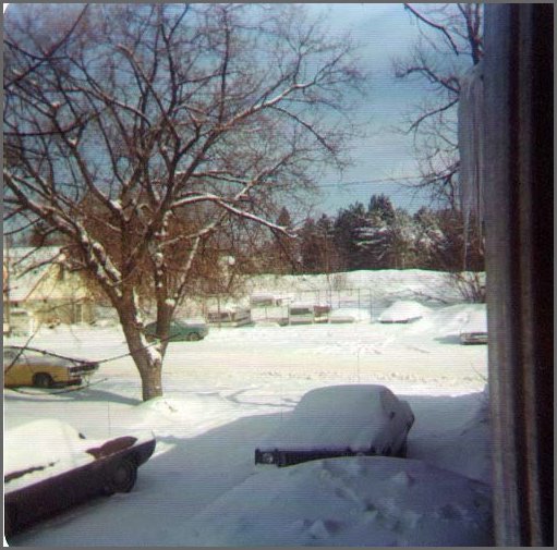 Winter_In_Powassan.jpg