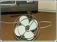 Fan_1976.jpg