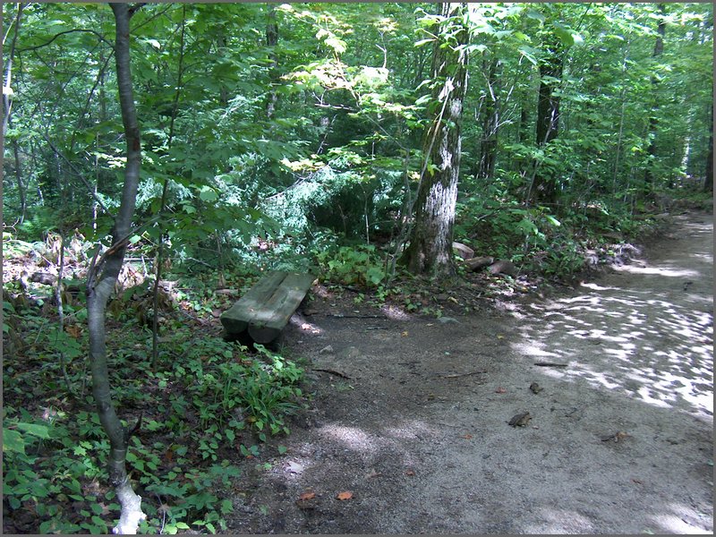 Algonquin_Park_2007_20.jpg