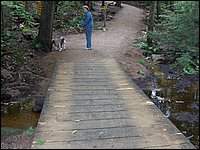 Algonquin_Park_2007_04.jpg
