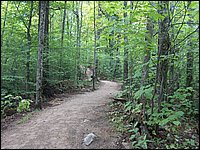 Algonquin_Park_2007_06.jpg