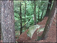 Algonquin_Park_2007_10.jpg