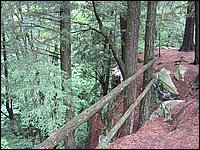 Algonquin_Park_2007_13.jpg