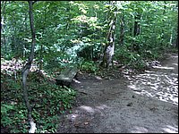 Algonquin_Park_2007_20.jpg