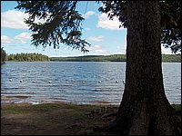 Algonquin_Park_2007_23.jpg