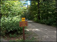 Algonquin_Park_2007_30.jpg