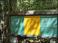 Algonquin_Park_2007_32.jpg