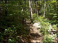 Algonquin_Park_2007_35.jpg