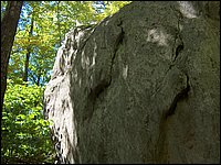Algonquin_Park_2007_37.jpg