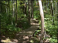 Algonquin_Park_2007_38.jpg