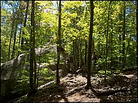 Algonquin_Park_2007_39.jpg