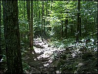 Algonquin_Park_2007_41.jpg