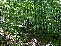 Algonquin_Park_2007_42.jpg