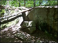 Algonquin_Park_2007_47.jpg