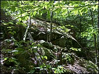 Algonquin_Park_2007_48.jpg