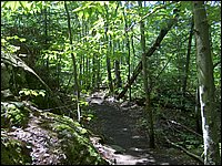 Algonquin_Park_2007_49.jpg
