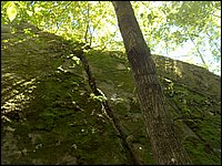 Algonquin_Park_2007_50.jpg
