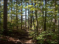Algonquin_Park_2007_51.jpg