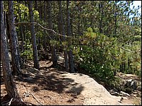 Algonquin_Park_2007_69.jpg