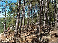 Algonquin_Park_2007_71.jpg