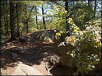 Algonquin_Park_2007_78.jpg