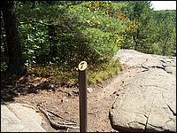 Algonquin_Park_2007_79.jpg