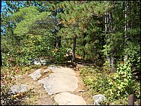 Algonquin_Park_2007_81.jpg
