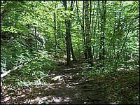 Algonquin_Park_2007_82.jpg