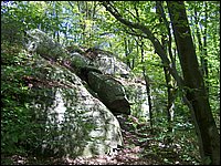 Algonquin_Park_2007_83.jpg
