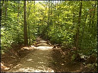 Algonquin_Park_2007_86.jpg