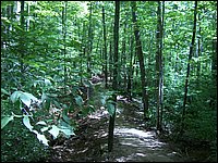 Algonquin_Park_2007_88.jpg