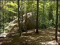 Algonquin_Park_2007_90.jpg