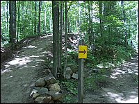 Algonquin_Park_2007_91.jpg
