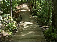 Algonquin_Park_2007_92.jpg