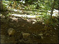 Algonquin_Park_2007_94.jpg
