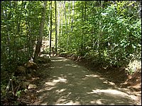 Algonquin_Park_2007_96.jpg