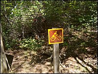 Algonquin_Park_2007_98.jpg