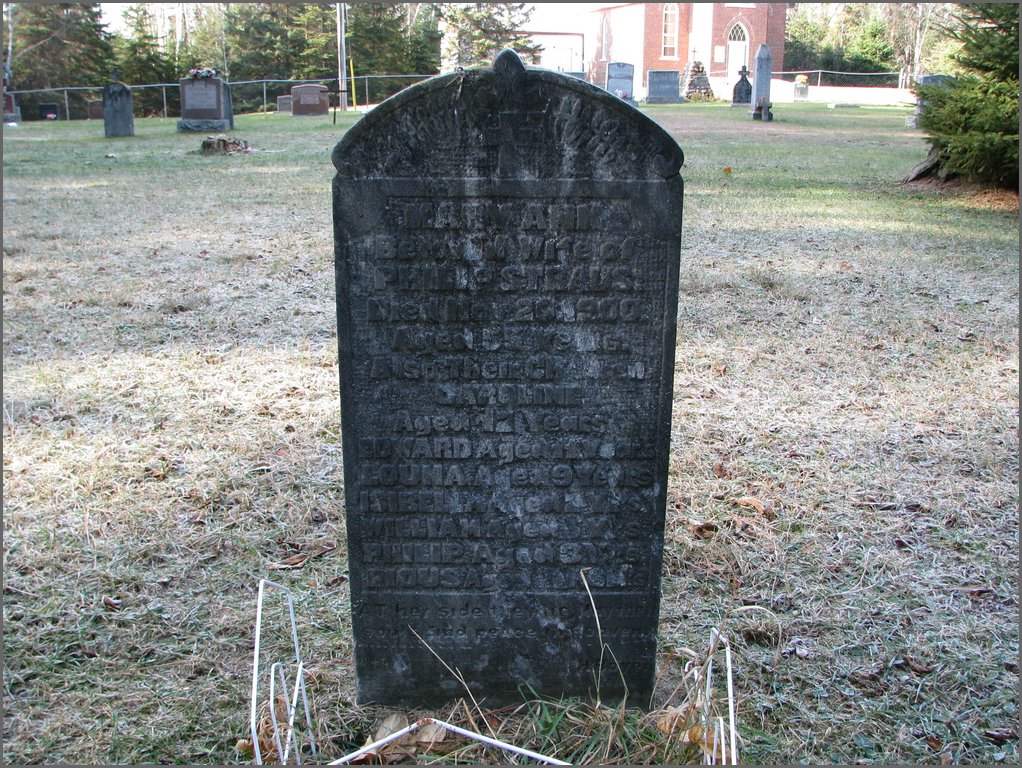 048b  Straus.JPG