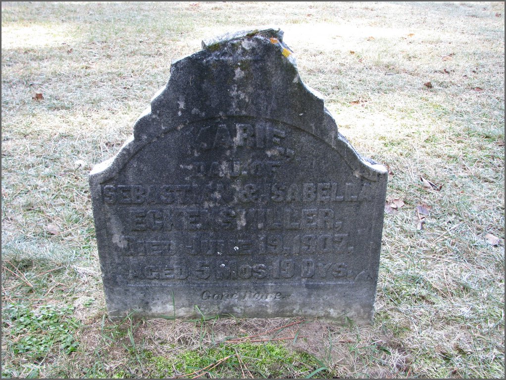 051 Eckensviller.JPG
