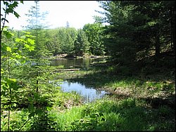 Amber_Lake_ 24.JPG