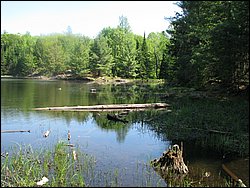 Amber_Lake_ 46.JPG