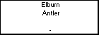 Elburn Antler