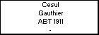 Cesul Gauthier