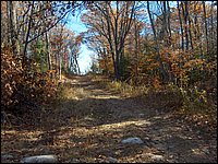 Annie Spetz's 60.JPG