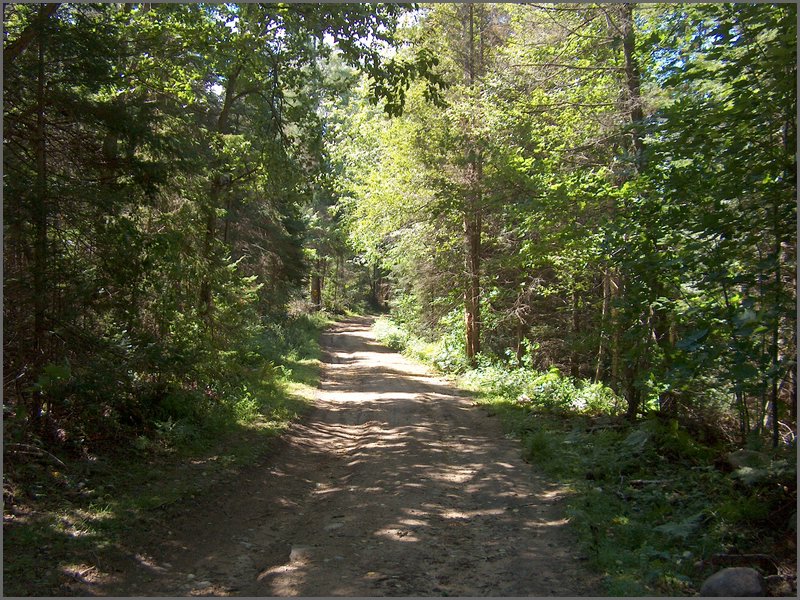 03 Heading Toward McConnel Field.jpg